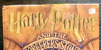 Collecting “Harry Potter” books as an investment Photo Credit: BoostMyDream.com