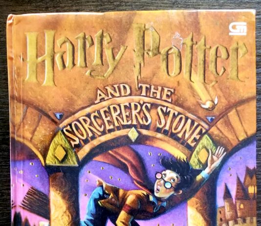 Collecting “Harry Potter” books as an investment Photo Credit: BoostMyDream.com